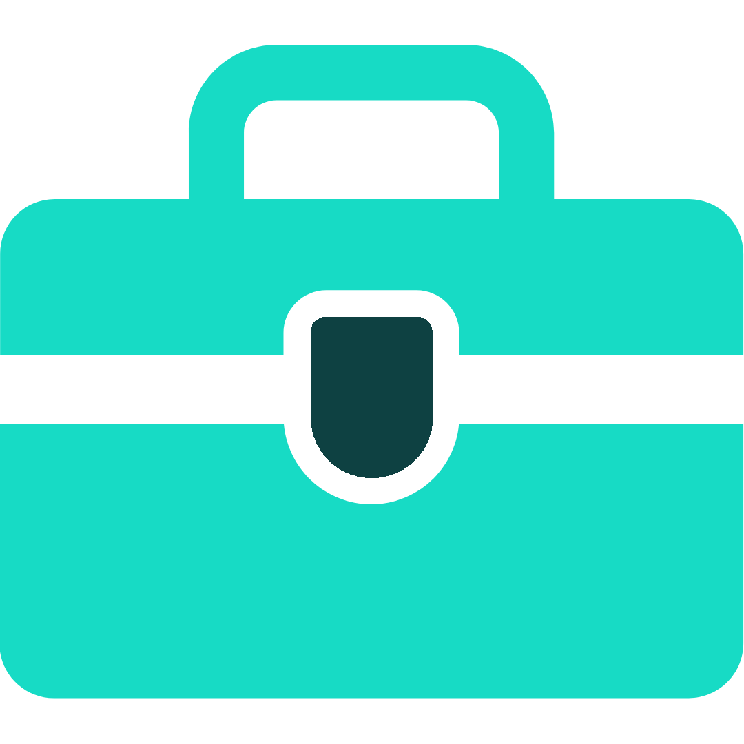 Program Icon